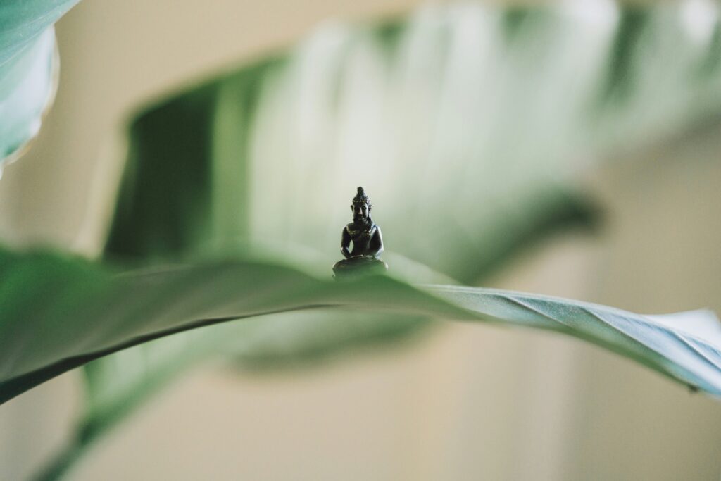 meditation session