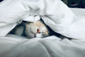 subconscious mind and sleep