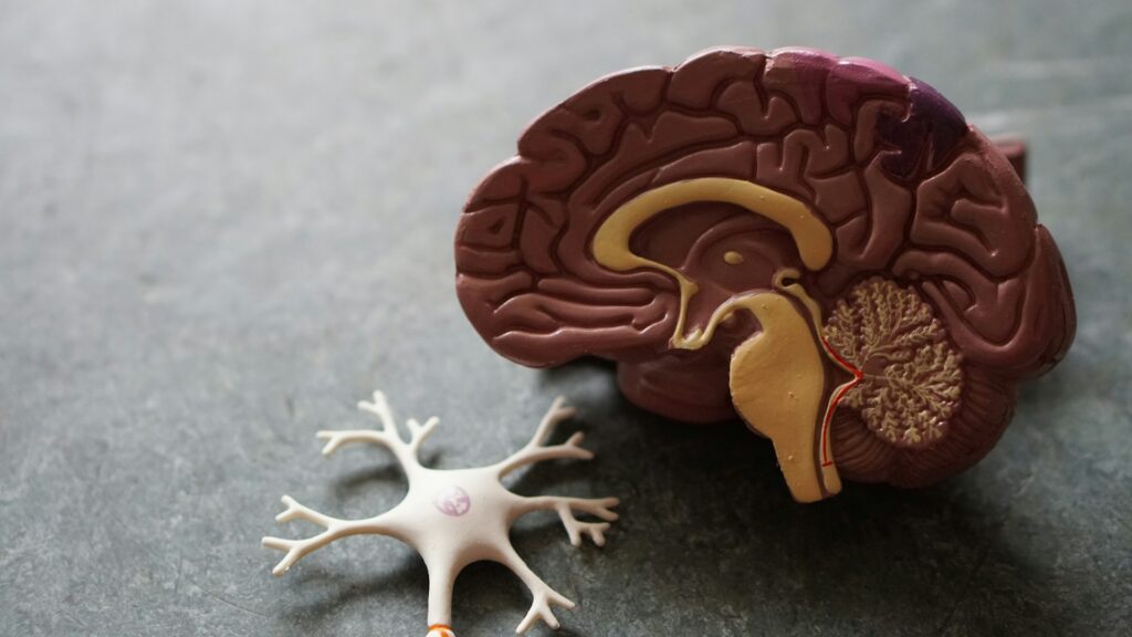 what causes insomnia